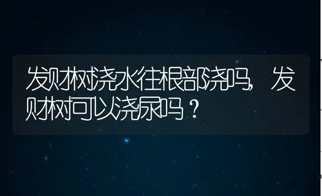 发财树浇水往根部浇吗,发财树可以浇尿吗？ | 养殖科普