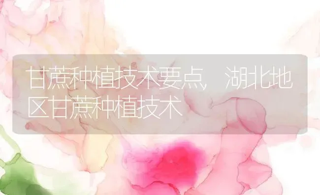 甘蔗种植技术要点,湖北地区甘蔗种植技术 | 养殖学堂