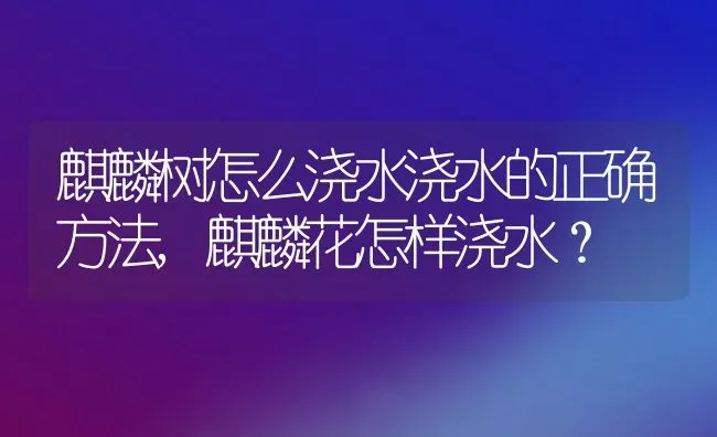 麒麟树怎么浇水浇水的正确方法,麒麟花怎样浇水？ | 养殖科普