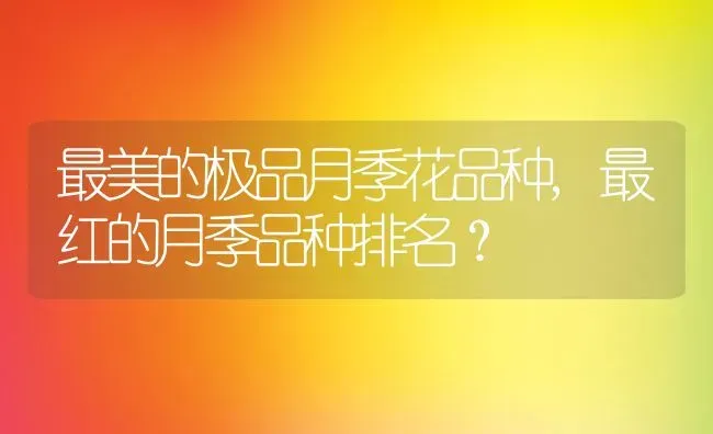 最美的极品月季花品种,最红的月季品种排名？ | 养殖科普