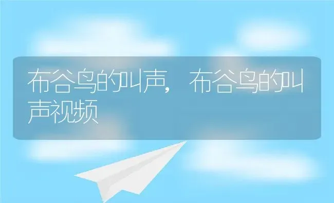 布谷鸟的叫声,布谷鸟的叫声视频 | 养殖学堂