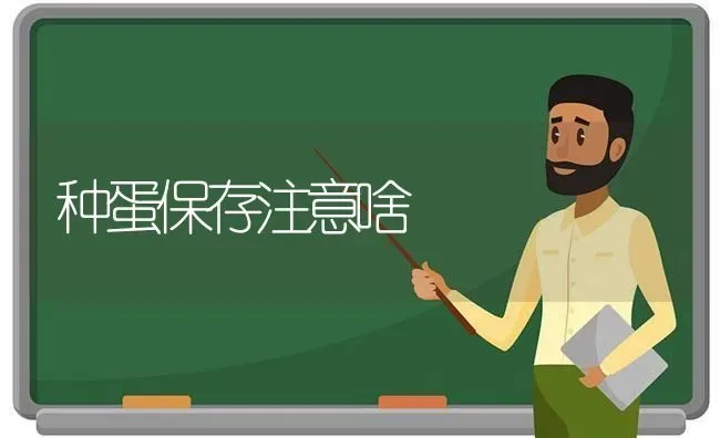 种蛋保存注意啥 | 养殖知识