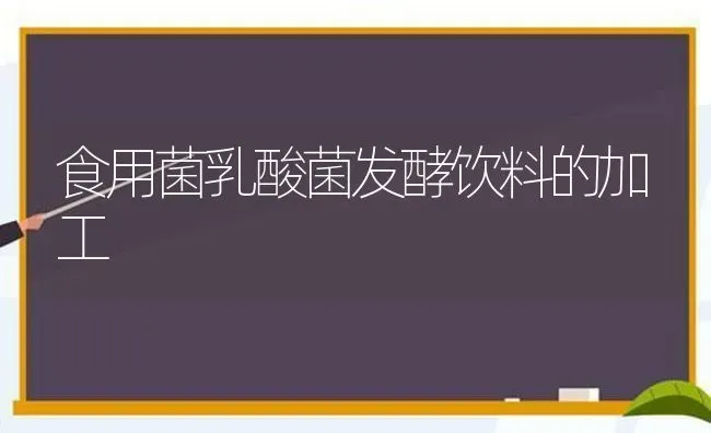 食用菌乳酸菌发酵饮料的加工 | 养殖知识