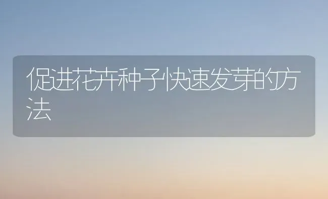 促进花卉种子快速发芽的方法 | 养殖知识