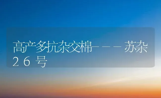 高产多抗杂交棉---苏杂26号 | 养殖技术大全