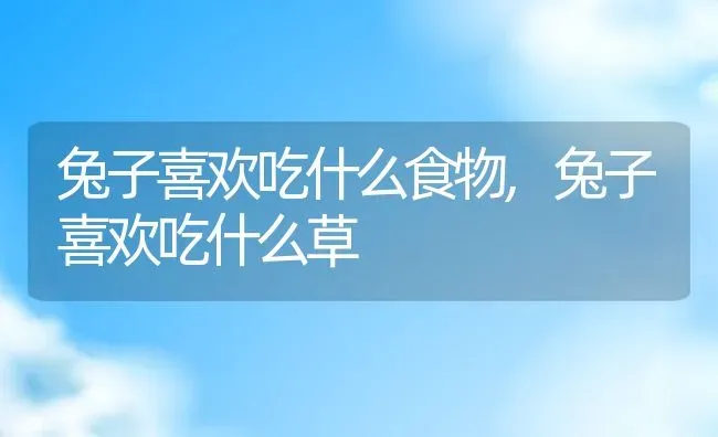 兔子喜欢吃什么食物,兔子喜欢吃什么草 | 养殖资料