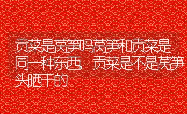 五彩锦带树冬天落叶吗,五彩锦带下山桩种植方法 | 养殖学堂