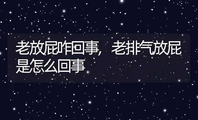 老放屁咋回事,老排气放屁是怎么回事 | 养殖资料