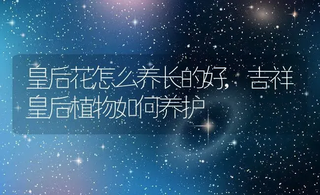 皇后花怎么养长的好,吉祥皇后植物如何养护 | 养殖学堂