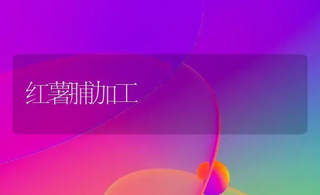红薯脯加工 | 养殖技术大全