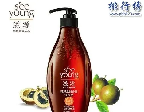 什么品牌的洗发水最好用,洗发水名字？
