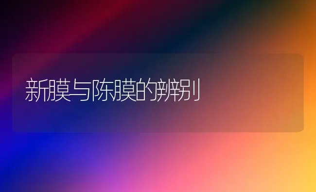 新膜与陈膜的辨别 | 养殖知识