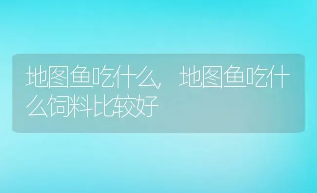 地图鱼吃什么,地图鱼吃什么饲料比较好 | 养殖资料