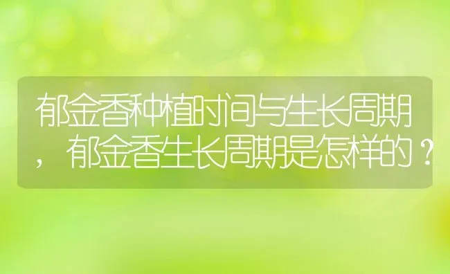 郁金香种植时间与生长周期,郁金香生长周期是怎样的？ | 养殖科普