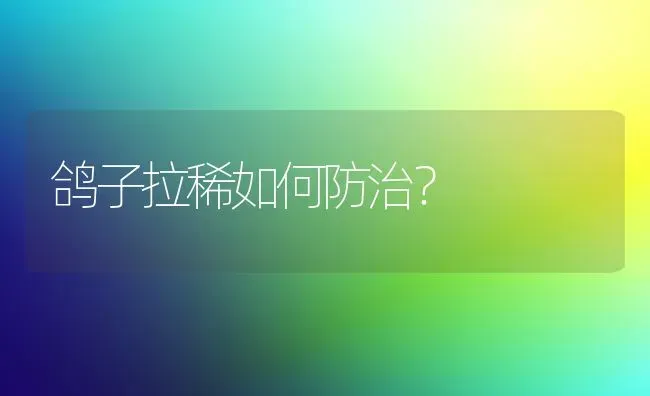 鸽子拉稀如何防治? | 养殖知识