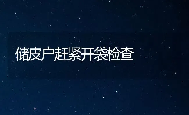 储皮户赶紧开袋检查 | 养殖知识