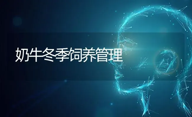 奶牛冬季饲养管理 | 养殖技术大全