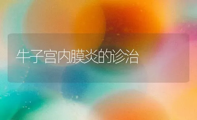 牛子宫内膜炎的诊治 | 养殖技术大全