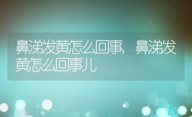 鼻涕发黄怎么回事,鼻涕发黄怎么回事儿 | 养殖科普