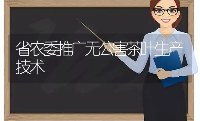 省农委推广无公害茶叶生产技术 | 养殖技术大全