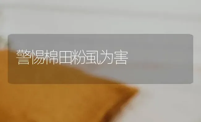 警惕棉田粉虱为害 | 养殖技术大全
