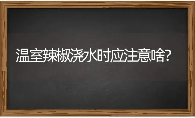 温室辣椒浇水时应注意啥? | 养殖技术大全