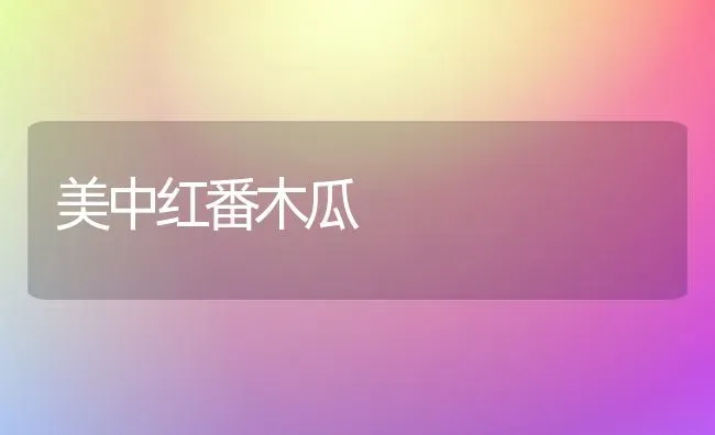 美中红番木瓜 | 养殖技术大全