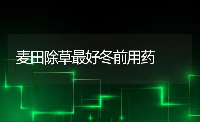 麦田除草最好冬前用药 | 养殖知识