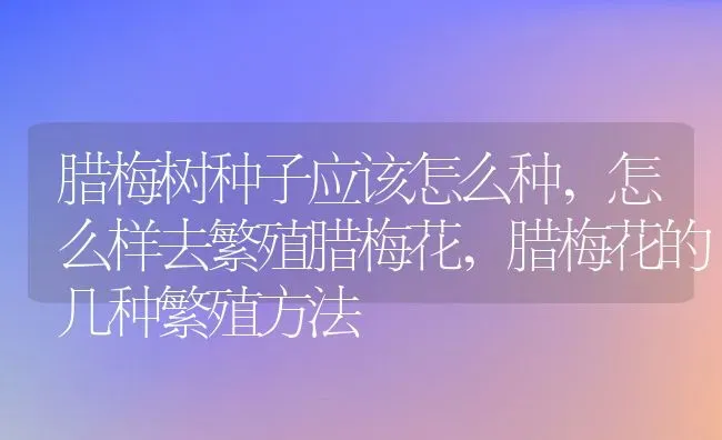 老虎的别称都有什么美名,八月虎别称 | 养殖学堂