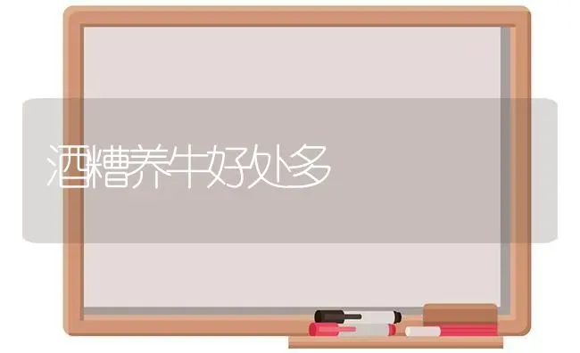 酒糟养牛好处多 | 养殖技术大全