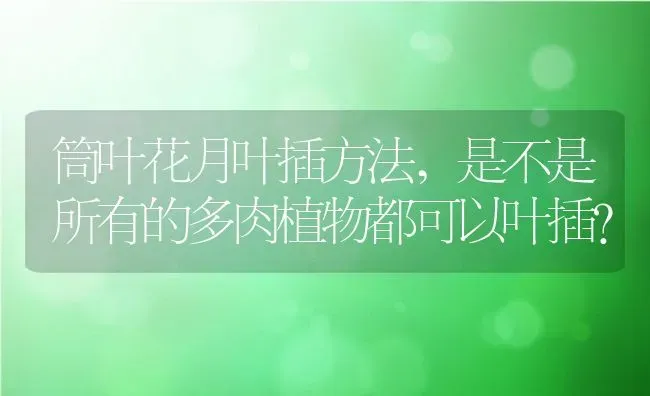 筒叶花月叶插方法,是不是所有的多肉植物都可以叶插？ | 养殖科普