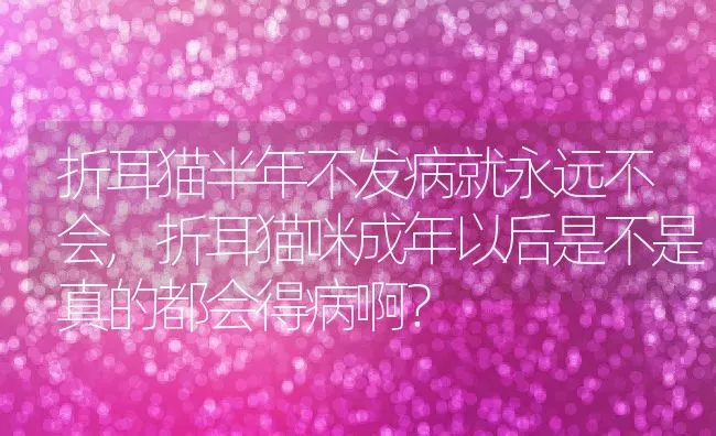 折耳猫半年不发病就永远不会,折耳猫咪成年以后是不是真的都会得病啊？ | 养殖学堂
