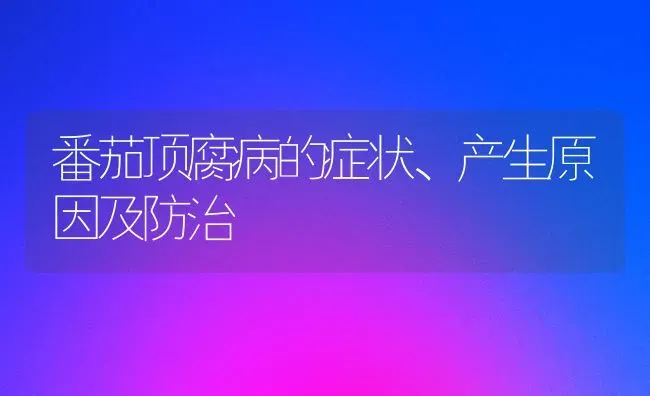 番茄顶腐病的症状、产生原因及防治 | 养殖技术大全