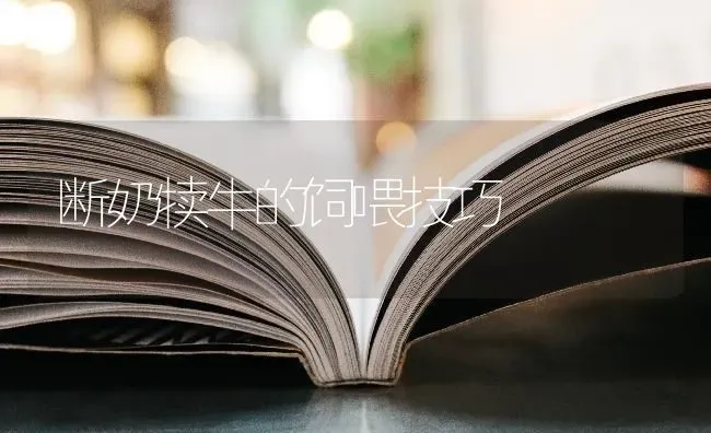 断奶犊牛的饲喂技巧 | 养殖技术大全