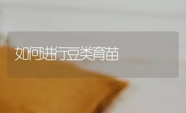 如何进行豆类育苗 | 养殖知识