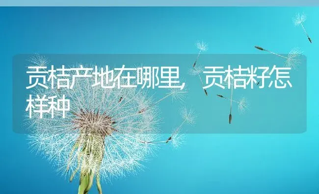 贡桔产地在哪里,贡桔籽怎样种 | 养殖学堂