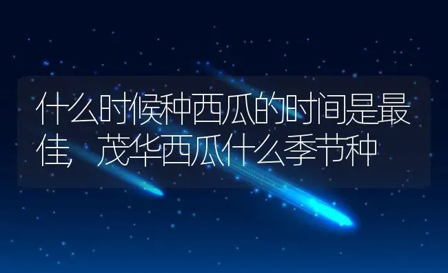 什么时候种西瓜的时间是最佳,茂华西瓜什么季节种 | 养殖学堂