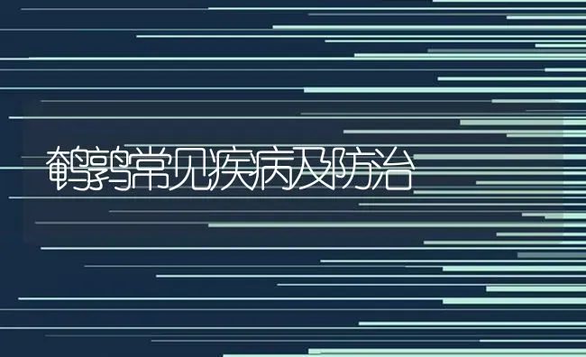 鹌鹑常见疾病及防治 | 养殖技术大全