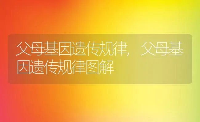 父母基因遗传规律,父母基因遗传规律图解 | 养殖资料