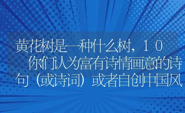 黄花树是一种什么树,10 你们认为富有诗情画意的诗句（或诗词）或者自创中国风、仙侠风句子皆可？ | 养殖科普