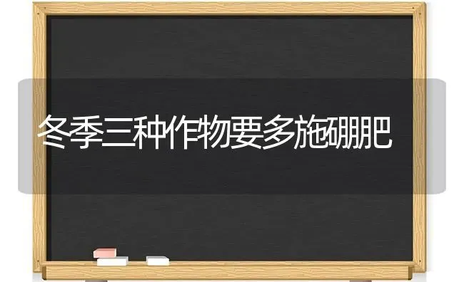 冬季三种作物要多施硼肥 | 养殖知识