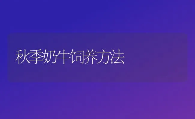 秋季奶牛饲养方法 | 养殖技术大全