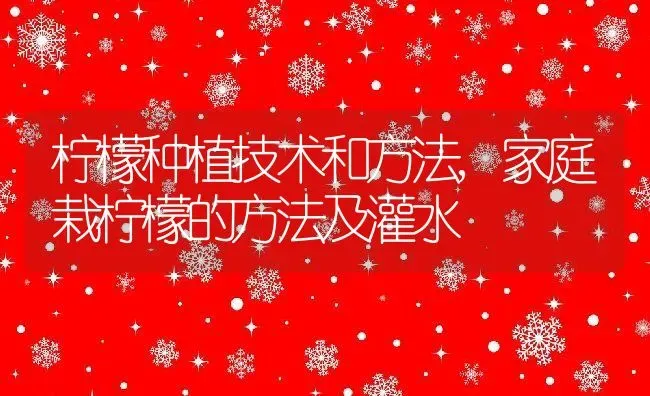 柠檬种植技术和方法,家庭栽柠檬的方法及灌水 | 养殖学堂