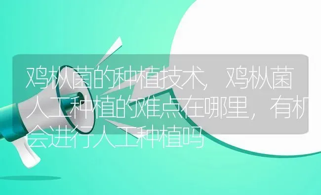 鸡枞菌的种植技术,鸡枞菌人工种植的难点在哪里，有机会进行人工种植吗 | 养殖学堂