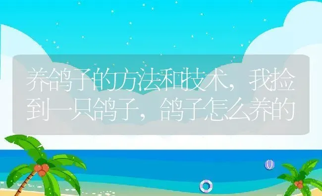 “发酵酪乳”的工艺流程以及制作方法,卡士酸酪乳与酸奶有什么区别 | 养殖学堂