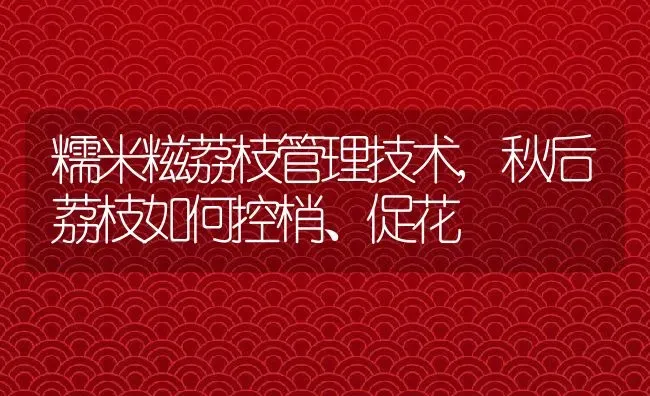 糯米糍荔枝管理技术,秋后荔枝如何控梢、促花 | 养殖学堂