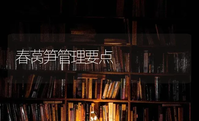 春莴笋管理要点 | 养殖技术大全