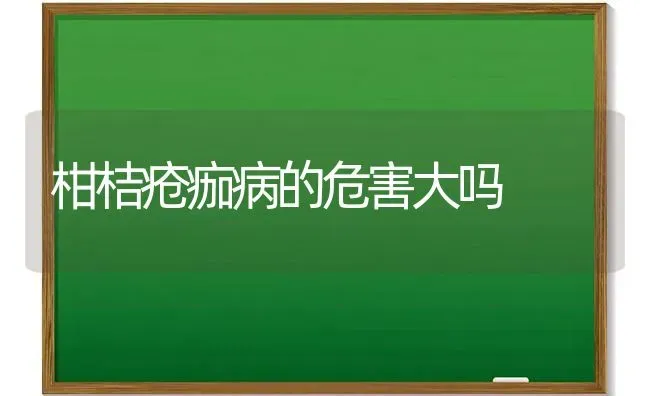 柑桔疮痂病的危害大吗 | 养殖技术大全