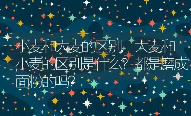 小麦和大麦的区别,大麦和小麦的区别是什么？都是磨成面粉的吗？ | 养殖科普