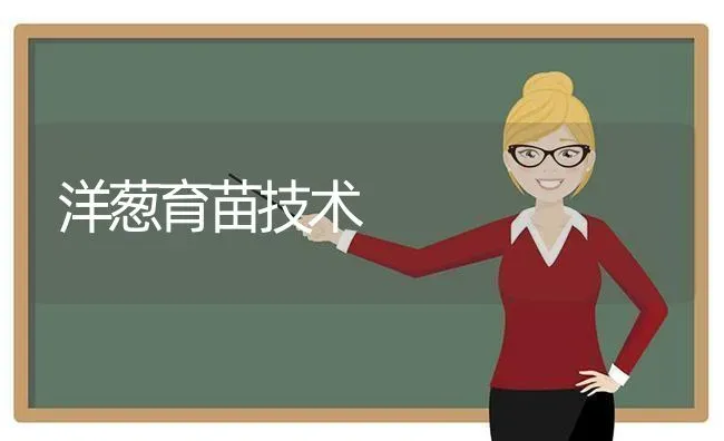 洋葱育苗技术 | 养殖技术大全